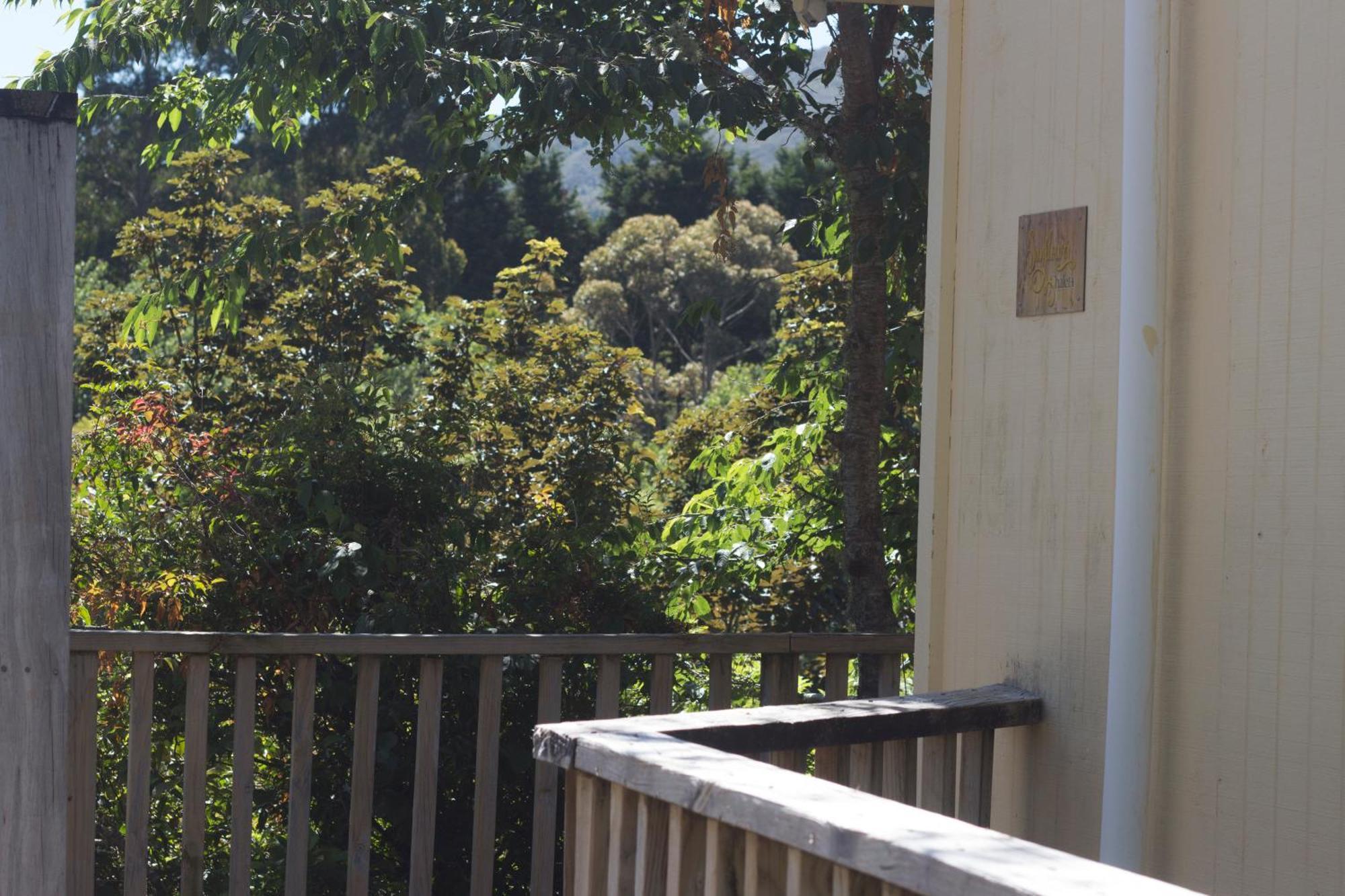 Aston Norwood Chalets Upper Hutt Esterno foto